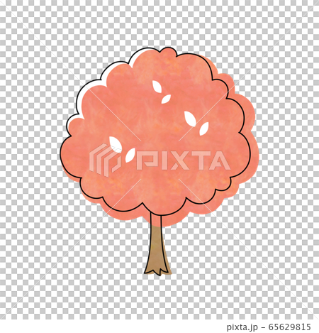 Autumn leaves tree Autumn leaves tree 65629815