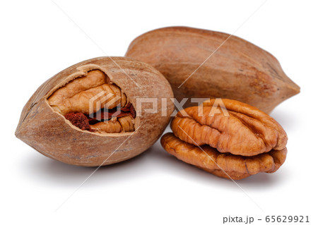 Pecan nut isolated on white Pecan nut isolated on white 65629921