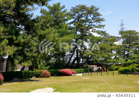 日本庭園 65630311