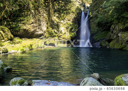 高知県のにこ淵 65630698