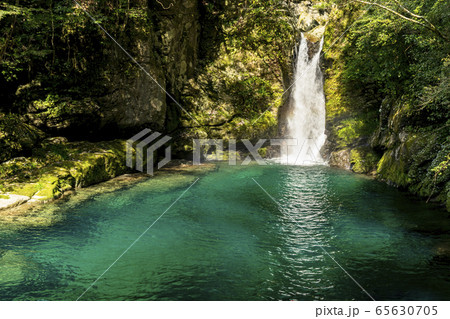高知県のにこ淵 65630705