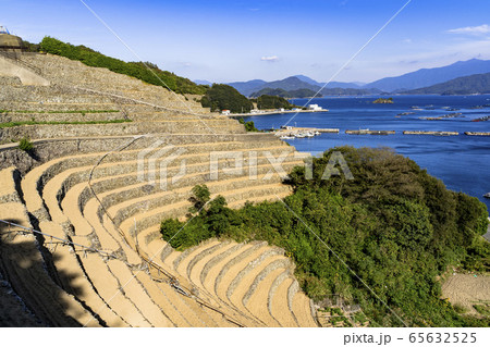 宇和島市の遊子水荷浦の段畑 65632525
