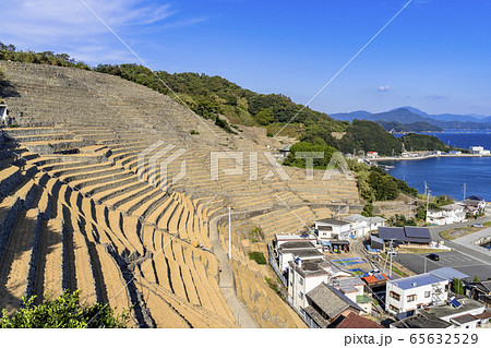 宇和島市の遊子水荷浦の段畑 宇和島市の遊子水荷浦の段畑 65632529