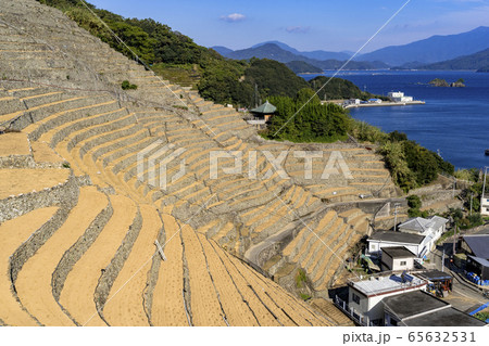 宇和島市の遊子水荷浦の段畑 65632531