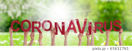 People Hands Holding Word Coronavirus, Grass People Hands Holding Word Coronavirus, Grass 65632765
