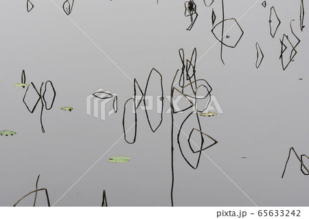 反射 反影 湖 65633242