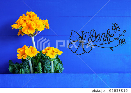 Yellow Spring Flowers, Calligraphy Danke Means Yellow Spring Flowers, Calligraphy Danke Means 65633316