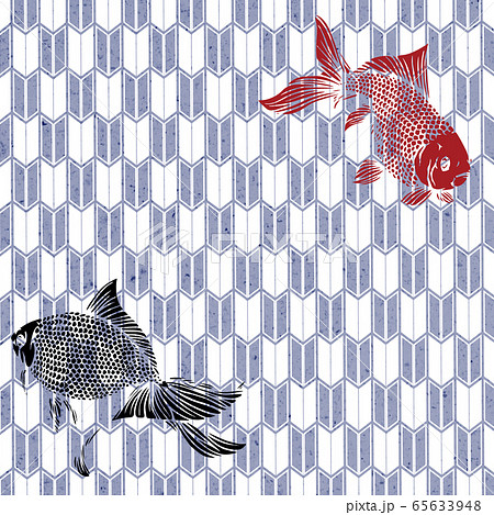 金魚 琉金 イラストのイラスト素材