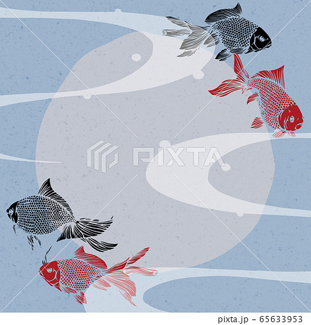 金魚 琉金 イラストのイラスト素材