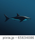 Great white shark sign logo on blue background 65634086