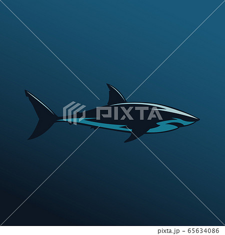 Great white shark sign logo on blue background 65634086