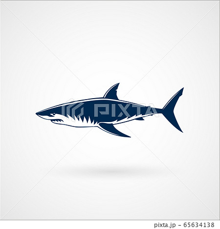 Great white shark logo sign emblem vector illustration 65634138