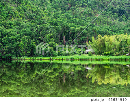 春の京都 広沢池の写真素材