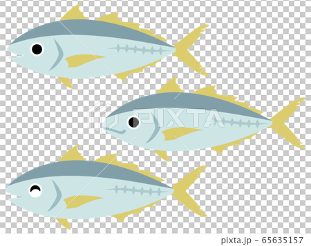 アジのイラストのイラスト素材