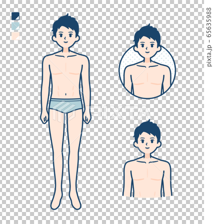 vector, vectors, lingerie 65635988