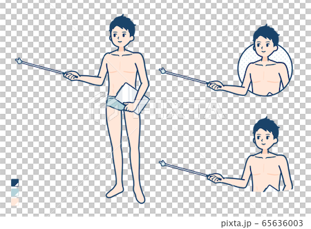 vector, vectors, lingerie 65636003