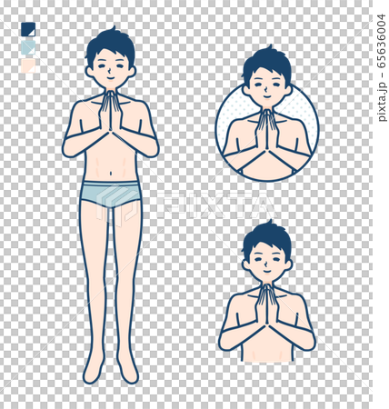 vector, vectors, lingerie 65636004