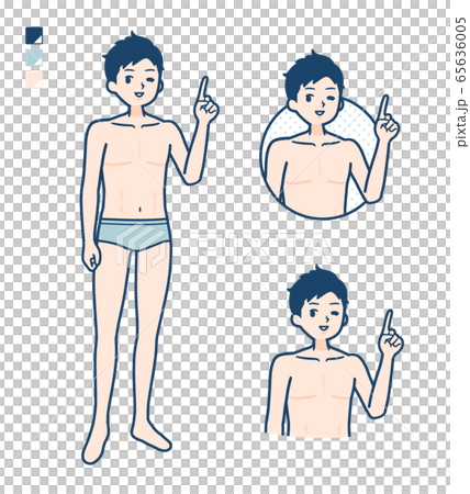 vector, vectors, lingerie 65636005