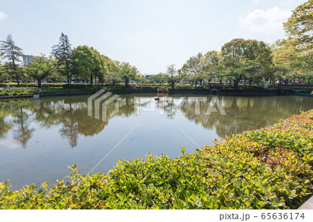 鹿沼公園 65636174