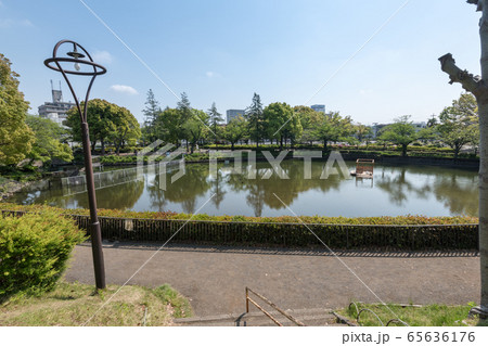 鹿沼公園 65636176