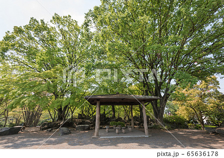 鹿沼公園 65636178