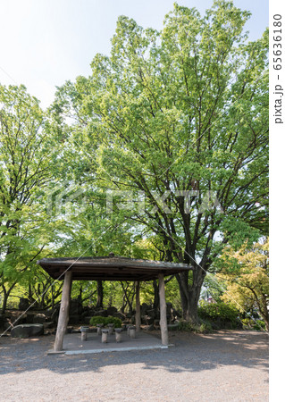 鹿沼公園 鹿沼公園 65636180