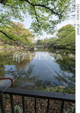 鹿沼公園 65636242