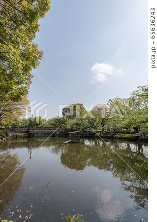 鹿沼公園 65636243