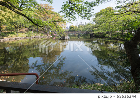 鹿沼公園 65636244