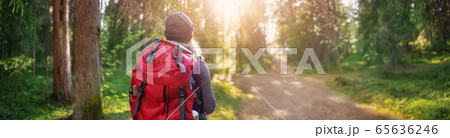 Young woman hiking and going camping in nature 65636246