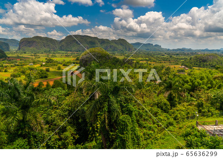 Vinales Valley site in  Pinar del Rio of Cuba 65636299
