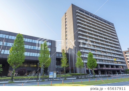 熊本県熊本市　快晴の熊本市役所 65637911