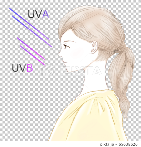 UV protection Difference between UVA and UVB Profile of a young woman 65638626