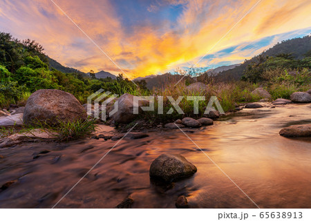 View of landscape nature and river and color of 65638913