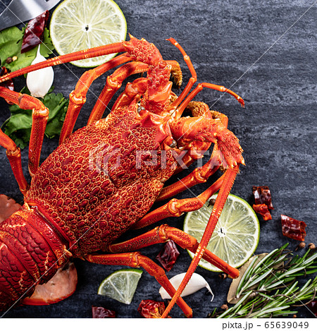 海老 エビ ロブスター 65639049
