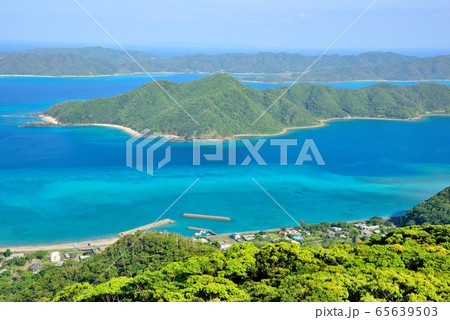 奄美十景　新緑の美しい長雲峠　龍郷湾　4 65639503