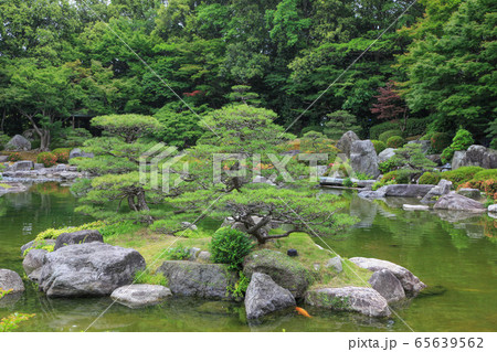 日本庭園 65639562
