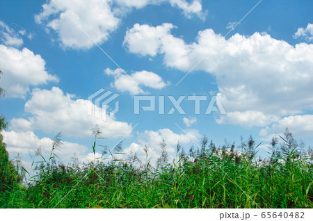 ドイツ　ハンブルグの空 65640482