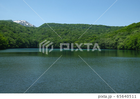 蔦沼 - 八甲田,十和田八幡平国立公園 蔦沼 - 八甲田,十和田八幡平国立公園 65640511