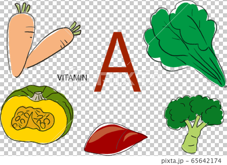 維生素A成分矢量集 65642174