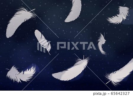 夜空に舞う羽のイメージのイラスト素材