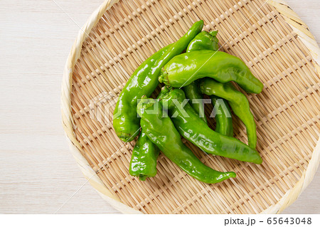 しとう シシトウ ししとうがらし シシトウガラシ 獅子唐 獅子唐芥子の写真素材