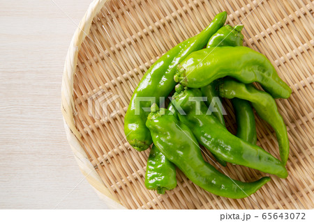 しとう シシトウ ししとうがらし シシトウガラシ 獅子唐 獅子唐芥子の写真素材