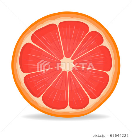 Fresh bright exotic half cut grapefruit isolated Fresh bright exotic half cut grapefruit isolated 65644222