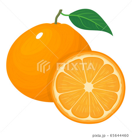 Fresh bright composition of exotic whole and cut 65644460