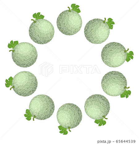 Wreath from green cantaloupe melon with space for 65644539
