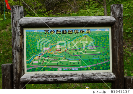 万字炭山森林公園（岩見沢市栗沢町 65645157