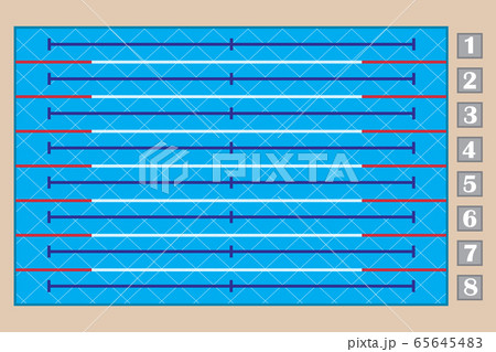 Sport swimming pool top view, eight-track swimming pool Sport swimming pool top view, eight-track swimming pool 65645483