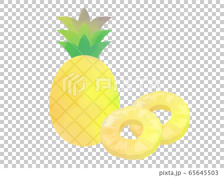 Watercolor illustration of pineapple 65645503