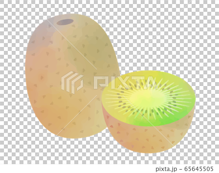 奇異果水彩插圖 65645505